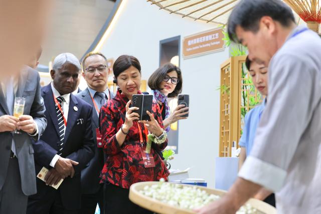 (261017) -- FUZHOU, Oct. 17, 2026 (Xinhua) -- Participants of the 21st Century Maritime Silk Road Local Government Cooperation and International Friendship Cities Dialogue watch the making process of jasmine tea at a Fujian intangible cultural heritage exhibition in Fuzhou, southeast China's Fujian Province, Oct. 17, 2026. (Xinhua/Jiang Kehong)