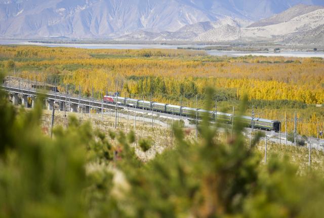 (261017) -- SHANNAN, Oct. 17, 2026 (Xinhua) -- A train runs past the Shannan section of an afforestation project covering mountainous regions between Lhasa and Shannan, in Shannan City, southwest China's Xizang Autonomous Region, Oct. 17, 2026. In various areas of the Shannan section of this afforestation project, staff members have carried out forest and grassland fire prevention patrols, cleared flammable materials, opened firebreaks, and checked and repaired irrigation facilities to prepare for this year's first winter irrigation.
  The Shannan section of the project, which kicked off in 2022, has completed a total of 317,500 mu (about 21,166.67 hectares) of afforestation and generated more than 2.15 million jobs opportunities as of 2026. (Xinhua/Jigme Dorje)