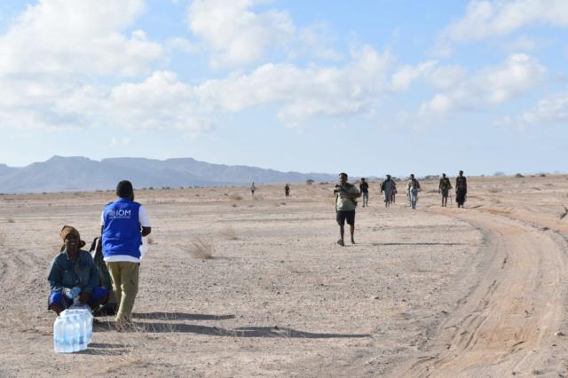 (261017) -- ADDIS ABABA, Oct. 17, 2026 (Xinhua) -- This photo taken on Oct. 9, 2026 shows migrants walking in Djibouti, trying to travel through Djibouti and cross the Red Sea. Following yet another deadly shipwreck off the coast of Djibouti, international experts emphasized that the escalating humanitarian crisis along the Red Sea migration corridor demands targeted preventive measures beyond reactive emergency responses.
   The eastern migration corridor continues to claim hundreds of lives each year, with more than 900 migrants dead or missing along the route in 2025 alone. However, the number of people who undertake the journey is increasing, according to the International Organization for Migration (IOM).
   In one of the deadliest shipwrecks recorded on the route in recent times, at least 139 migrants died last week, while 84 remain missing after their boat, carrying 305 people toward war-torn Yemen, capsized off the Djibouti coast. Only 82 people survived. Another shipwreck in March this year left nine people dead and 45 missing. (International Organization for Migration/Handout via Xinhua)