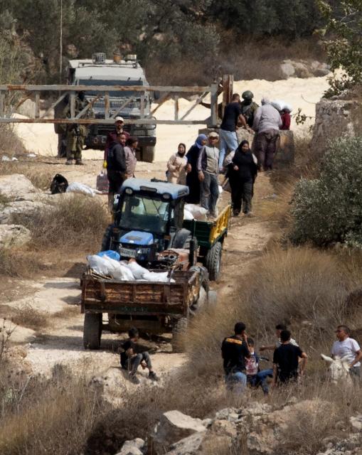 (261017) -- NABLUS, Oct. 17, 2026 (Xinhua) -- Palestinian farmers are seen at an Israeli military checkpoint after the forces prevented them from harvesting olives at their lands, in the village of Salem, east of Nablus, in the West Bank, on Oct. 17, 2026. (Photo by Nidal Eshtayeh/Xinhua)