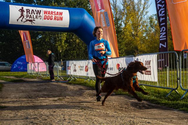(261018) -- WARSAW, Oct. 18, 2026 (Xinhua) -- A participant runs with her dog during the RAW PALEO Warsaw Dog Run in Warsaw, Poland, Oct. 17, 2026. Organized by the Warsaw Marathon Foundation, the event featured a roughly 5-kilometer canicross race for human-dog teams and an orienteering walk with dogs. (Photo by Jaap Arriens/Xinhua)