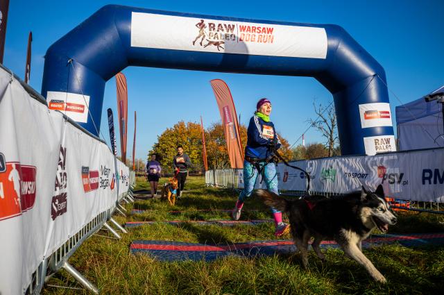 (261018) -- WARSAW, Oct. 18, 2026 (Xinhua) -- Participants run with their dogs during the RAW PALEO Warsaw Dog Run in Warsaw, Poland, Oct. 17, 2026. Organized by the Warsaw Marathon Foundation, the event featured a roughly 5-kilometer canicross race for human-dog teams and an orienteering walk with dogs. (Photo by Jaap Arriens/Xinhua)