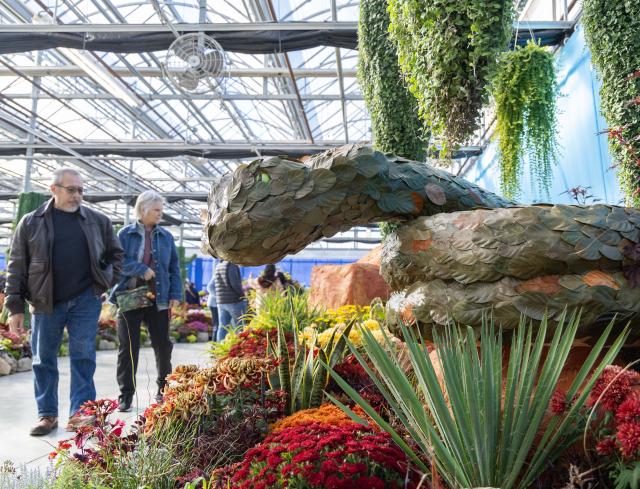 (261018) -- HAMILTON, Oct. 18, 2026 (Xinhua) -- People view a floral installation during the 2026 Fall Floral Mum Show in Hamilton, Ontario, Canada, on Oct. 17, 2026. Featuring over 200 chrysanthemum varieties and more than 100,000 on-site blooms, the annual show kicked off here on Saturday and will last until Oct. 25. (Photo by Zou Zheng/Xinhua)