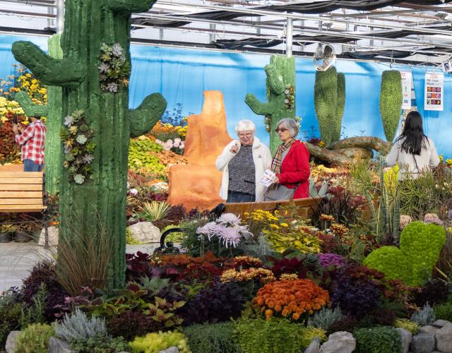 (261018) -- HAMILTON, Oct. 18, 2026 (Xinhua) -- People visit the 2026 Fall Floral Mum Show in Hamilton, Ontario, Canada, on Oct. 17, 2026. Featuring over 200 chrysanthemum varieties and more than 100,000 on-site blooms, the annual show kicked off here on Saturday and will last until Oct. 25. (Photo by Zou Zheng/Xinhua)