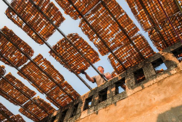 (261018) -- BEIJING, Oct. 18, 2026 (Xinhua) -- A farmer dries bamboo shoot slices in Mentun Village of Tianlin County, Baise City, south China's Guangxi Zhuang Autonomous Region, Oct. 13, 2026. From branches heavy with fruits to golden farmlands, and onto farmhouses' rooftops and courtyards laden with bountiful harvest, a vibrant autumn harvest scene unfolds across the country. (Photo by Huang Shuqing/Xinhua)