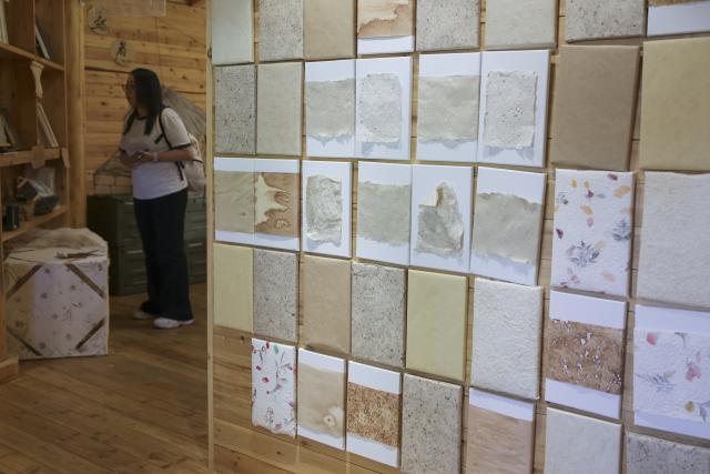 (261018) -- BAOXING, Oct. 18, 2026 (Xinhua) -- A visitor looks at handicrafts made from panda dung at a panda-themed camp in Baoxing County, Ya'an City, southwest China's Sichuan Province, Oct. 17, 2026. Baoxing County, a core giant panda habitat, has leveraged its panda resources to develop panda-themed eco-tourism featuring study tours and homestays. (Xinhua/Liu Lingyi)