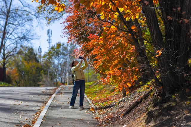 (261019) -- VLADIVOSTOK, Oct. 19, 2026 (Xinhua) -- A woman takes photos of autumn scenery in the Russian Far Eastern city of Vladivostok, Oct. 19, 2026. (Photo by Andrey Matveenko/Xinhua)