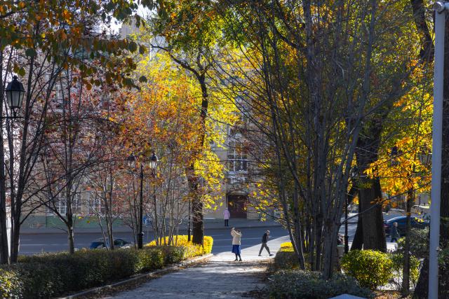 (261019) -- VLADIVOSTOK, Oct. 19, 2026 (Xinhua) -- This photo taken on Oct. 19, 2026 shows the autumn scenery in the Russian Far Eastern city of Vladivostok. (Photo by Andrey Matveenko/Xinhua)