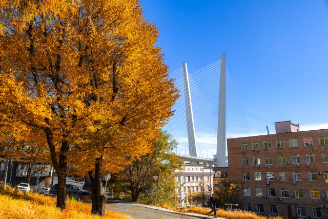 (261019) -- VLADIVOSTOK, Oct. 19, 2026 (Xinhua) -- This photo taken on Oct. 19, 2026 shows the autumn scenery in the Russian Far Eastern city of Vladivostok. (Photo by Andrey Matveenko/Xinhua)