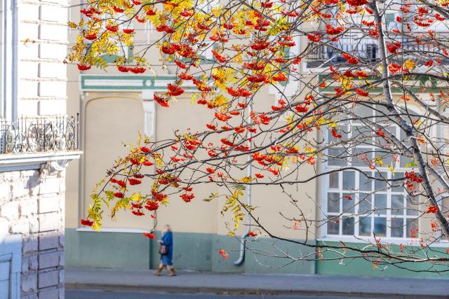 (261019) -- VLADIVOSTOK, Oct. 19, 2026 (Xinhua) -- This photo taken on Oct. 19, 2026 shows the autumn scenery in the Russian Far Eastern city of Vladivostok. (Photo by Andrey Matveenko/Xinhua)