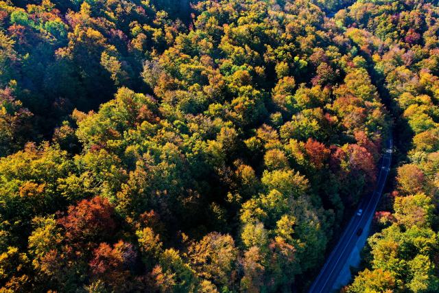 (261019) -- MAVROVO, Oct. 19, 2026 (Xinhua) -- An aerial drone photo shows scenery at Mavrovo National Park in Mavrovo, North Macedonia, Oct. 19, 2026. (Photo by Tomislav Georgiev/Xinhua)
