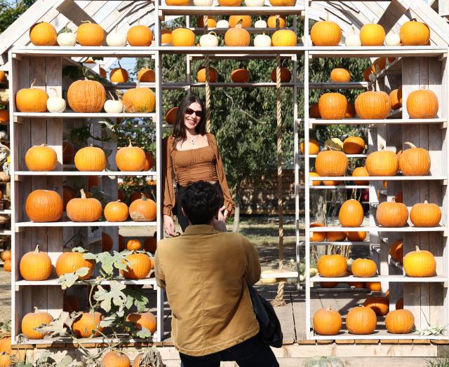 (261019) -- TREVISO, Oct. 19, 2026 (Xinhua) -- People take photos at the 7th Pumpkin Village event in Treviso, Italy, Oct. 19, 2026. (Photo by Alberto Lingria/Xinhua)