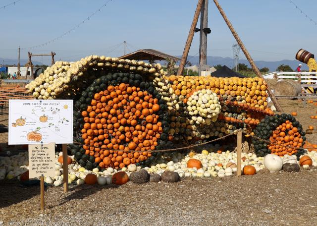 (261019) -- TREVISO, Oct. 19, 2026 (Xinhua) -- Photo taken on Oct. 19, 2026 shows the pumpkin-themed decorations at the 7th Pumpkin Village event in Treviso, Italy. (Photo by Alberto Lingria/Xinhua)