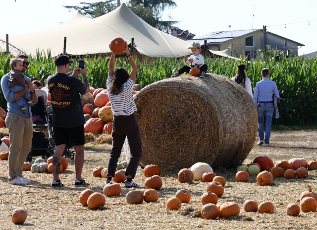 (261019) -- TREVISO, Oct. 19, 2026 (Xinhua) -- People visit the Pumpkin Village in Treviso, Italy, Oct. 19, 2026. (Photo by Alberto Lingria/Xinhua)