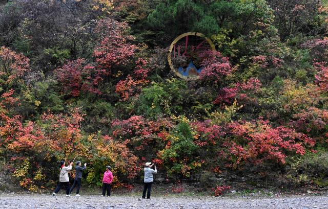 (261020) -- SHIJIAZHUANG, Oct. 20, 2026 (Xinhua) -- Tourists take photos of autumn leaves at Xiantaishan national forest park in Shijiazhuang, north China's Hebei Province, Oct. 20, 2026. (Photo by Chen Qibao/Xinhua)