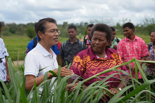 (261020) -- SUVA, Oct. 20, 2026 (Xinhua) -- Lin Xingsheng (L), an expert from the China-Fiji Juncao Technology Demonstration Center, teaches local people about Juncao technology at a farm of the Navuso Agricultural Technical Institute, near Suva, Fiji, Oct. 20, 2026. Experts from the China-Fiji Juncao Technology Demonstration Center visited a farm of the Navuso Agricultural Technical Institute near Suva on Tuesday, teaching local students and farm staff about Juncao technology.
  Since 2014, the China-Fiji Juncao Technology Demonstration Center has carried out three phases of technical assistance projects. To date, it has organized 67 training sessions, trained more than 2,900 local technicians, promoted Juncao cultivation on over 2,500 hectares of land, and helped more than 3,500 households achieve sustained income growth. (Xinhua/Bai Yongquan)