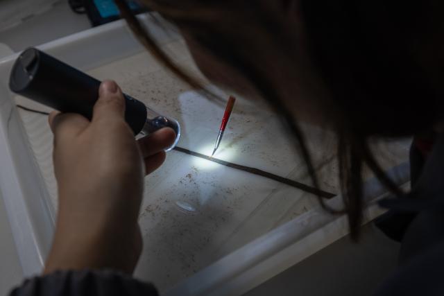 (261020) -- JINGZHOU, Oct. 20, 2026 (Xinhua) -- A staff member clears a bamboo slip at the cultural relics protection center in Jingzhou, central China's Hubei Province, Oct. 19, 2026.
  Established in 2003, the cultural relics protection center in Jingzhou undertakes the conservation of about 80 percent of China's waterlogged bamboo and wooden slips. The center has developed comprehensive conservation techniques for such slips, covering sectors from archaeological excavation and laboratory conservation to display and storage. 
  To date, the center has provided technical support in cultural relic conservation to more than 130 cultural and museum institutions across the country, and has restored more than 10,000 lacquered wooden artifacts, over 180,000 bamboo and wooden slips, and more than 1,100 textile artifacts. (Xinhua/Xiao Yijiu)