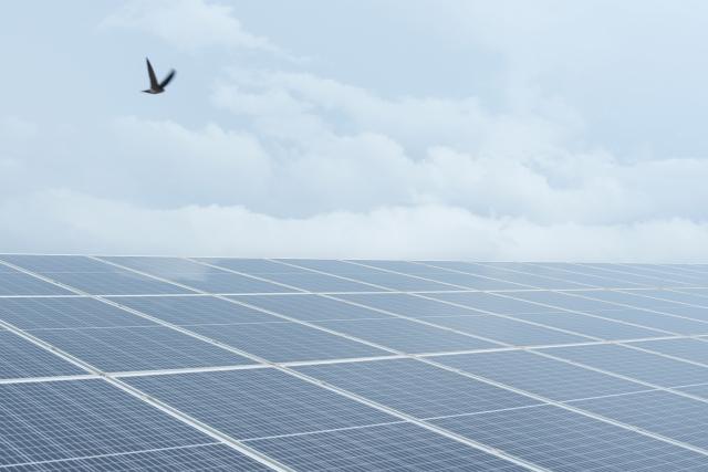(261020) -- GIA LAI, Oct. 20, 2026 (Xinhua) -- Photovoltaic panels are pictured at the 330-megawatt Phu My Solar Power Plant in Gia Lai province in Vietnam, Oct. 13, 2026. TO GO WITH "Roundup: Fueling developing world's energy transition, China takes green energy global " (Xinhua/Liu Ying)