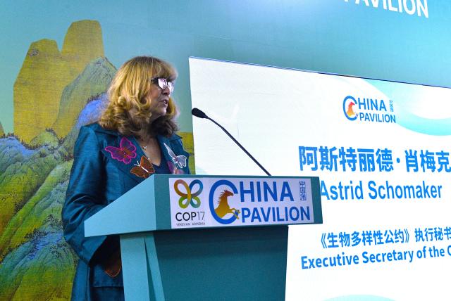 (261021) -- YEREVAN, Oct. 21, 2026 (Xinhua) -- Astrid Schomaker, executive secretary of the Convention on Biological Diversity, speaks at the opening ceremony of the China Pavilion at the 17th meeting of the Conference of the Parties to the United Nations (UN) Convention on Biological Diversity (COP17) in Yerevan, Armenia, Oct. 19, 2026. Themed "Taking Action for Nature," COP17 runs on Oct. 19-30. During the conference, the China Pavilion will host a series of events, including thematic side events, sessions on local biodiversity conservation initiatives, seminars and an exhibition showcasing China's achievements in biodiversity conservation. (Xinhua/Chen Junfeng)