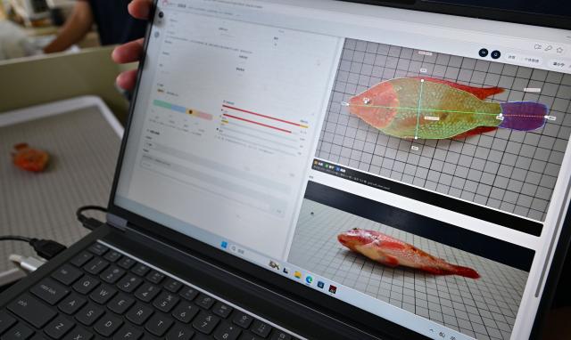 (261021) -- LINGAO, Oct. 21, 2026 (Xinhua) -- This photo taken on Oct. 20, 2026 shows the data collected via scanning devices from a tilapia fish at an aquaculture base of Hainan Progift Aqua-Tech Co. Ltd., in Lingao, south China's Hainan Province. Tilapia is a major farmed fish species in the island province of Hainan. Aquaculture breeding companies in Lingao County are boosting their capacity to produce fish fry through selective breeding, facility-based cultivation, and digital management. (Xinhua/Guo Cheng)
