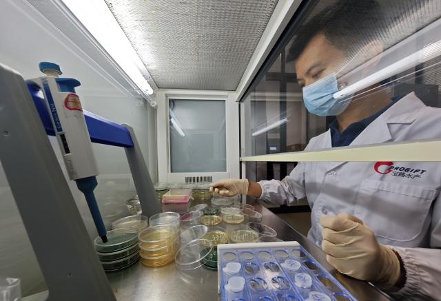 (261021) -- LINGAO, Oct. 21, 2026 (Xinhua) -- This photo taken with a mobile phone shows a staff member conducting a test on germs at an aquaculture base of Hainan Progift Aqua-Tech Co. Ltd., in Lingao, south China's Hainan Province, Oct. 20, 2026. Tilapia is a major farmed fish species in the island province of Hainan. Aquaculture breeding companies in Lingao County are boosting their capacity to produce fish fry through selective breeding, facility-based cultivation, and digital management. (Xinhua/Guo Cheng)
