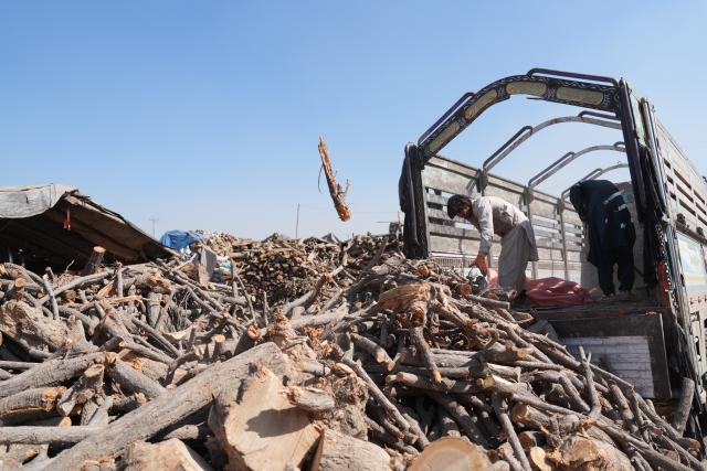 (261021) -- AFGHANISTAN, Oct. 21, 2026 (Xinhua) -- This photo taken on Oct. 17, 2026 shows a vendor stacking firewood at a market in Kabul, Afghanistan. TO GO WITH "Feature: Soaring fuel prices leave Afghans struggling to heat homes this winter" (Photo by Saifurahman Safi/Xinhua)