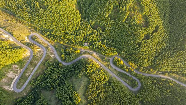 (261021) -- BEIJING, Oct. 21, 2026 (Xinhua) -- An aerial drone photo taken on Sept. 18, 2026 shows a view of a revolution-themed tourism area in Longde County of Guyuan City, northwest China's Ningxia Hui Autonomous Region.
  The Liupan Mountain runs through Guyuan City in Ningxia. In October 1935, Red Army soldiers crossed Liupan Mountain during the Long March, a historic military maneuver in modern Chinese history. It marks a key turning point in the history of the Long March.
  Now, the Liupan Mountain serves as a crucial ecological barrier and water resource conservation area, and local revolution-themed tourism is booming. Former revolutionary base areas in the region have drawn renewed interest from holidaymakers, with visits offering travelers a chance to learn about China's revolutionary history and reflect on the difficult years that helped shape modern China. (Xinhua/Yang Zhisen)