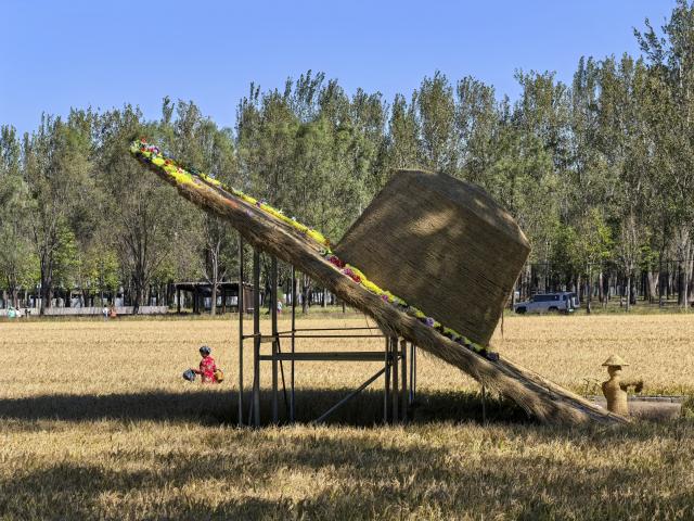 (261021) -- BEIJING, Oct. 21, 2026 (Xinhua) -- Tourists visit a rice field in Shangzhuang Town of Haidian District in Beijing, capital of China, Oct. 21, 2026. (Xinhua/Xing Guangli)
