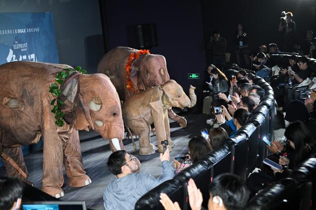 (261021) -- BEIJING, Oct. 21, 2026 (Xinhua) -- Audiences take pictures of elephant-shaped installations during the premiere in Beijing, capital of China, Oct. 21, 2026. The premiere of the documentary film "The Elephant Odyssey", which follows the improbable journey of the wandering Asian elephants in southwest China's Yunnan Province that captivated viewers around the world, was held in Beijing on Wednesday. 
In March 2020, the elephants left a forest nature reserve in Xishuangbanna Dai Autonomous Prefecture, Yunnan Province, and trekked about 500 km northwards to the provincial capital Kunming, arriving in June 2021. They have since headed south again, arriving safely back at the nature reserve.
The film is a collaborative effort between film institutions from China, Canada and Singapore, representing a valuable attempt to tell the story of China's ecological conservation. (Xinhua/Jin Liangkuai)