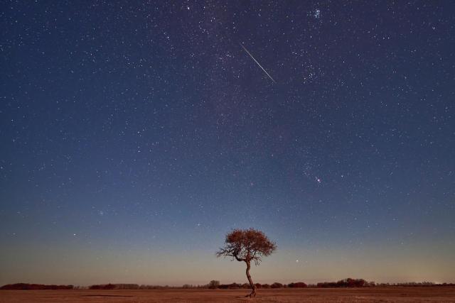 (261022) -- HARBIN, Oct. 22, 2026 (Xinhua) -- This photo taken on Oct. 22, 2026 shows the Orionid meteor shower in the sky over Qiqihar City, northeast China's Heilongjiang Province. The Orionid meteor shower, caused by remnants from Halley's comet, peaked on Wednesday and Thursday. (Photo by Chen Hongyu/Xinhua)