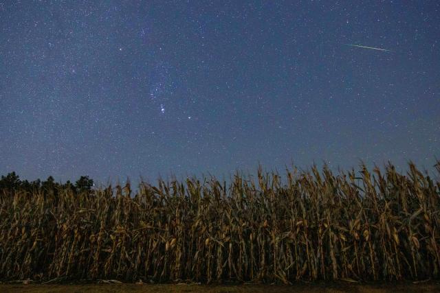 (261022) -- HARBIN, Oct. 22, 2026 (Xinhua) -- This photo taken on Oct. 22, 2026 shows the Orionid meteor shower in the sky over Jiamusi City, northeast China's Heilongjiang Province. The Orionid meteor shower, caused by remnants from Halley's comet, peaked on Wednesday and Thursday. (Photo by Chen Zhiguo/Xinhua)