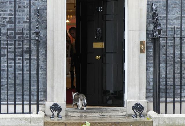 (261022) -- LONDON, Oct. 22, 2026 (Xinhua) -- This photo taken on Oct. 21, 2026 shows Larry the cat before the meeting of British Prime Minister Andy Burnham and Oman's Sultan Haitham bin Tariq at 10 Downing Street in London, Britain. British Prime Minister Andy Burnham and Oman's Sultan Haitham bin Tariq agreed Wednesday on the need to open the Strait of Hormuz, according to a statement released by British government on Wednesday. (Xinhua/Zhang Feng)