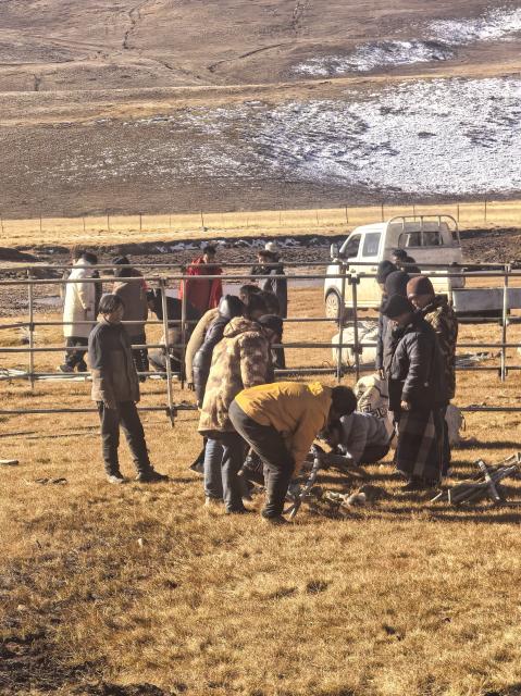 (261023) -- LHASA, Oct. 23, 2026 (Xinhua) -- People set up tents at an earthquake-hit village in Maru Township of Baqen County, Nagqu City, southwest China's Xizang Autonomous Region, Oct. 23, 2026. Sixteen people were killed and 65 others injured after a 7.0-magnitude earthquake struck Baqen County of Nagqu City in southwest China's Xizang Autonomous Region at 10:33 p.m. Thursday, the city's earthquake relief headquarters said on Friday.
   The Ministry of Emergency Management and authorities in Xizang have mobilized resources for rescue and relief operations. (Xinhua/Zhai Yongguan)