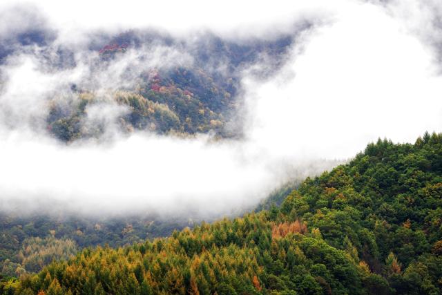 (261023) -- WENXIAN, Oct. 23, 2026 (Xinhua) -- This photo taken on Oct. 22, 2026 shows the autumn scenery of Tianchi lake national forest park in Wenxian County, northwest China's Gansu Province. In late autumn, Tianchi lake national forest park is adorned with richly colored foliage. (Xinhua/Fei Maohua)
