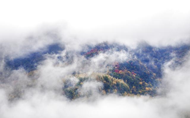 (261023) -- WENXIAN, Oct. 23, 2026 (Xinhua) -- This photo taken on Oct. 22, 2026 shows the autumn scenery of Tianchi lake national forest park in Wenxian County, northwest China's Gansu Province. In late autumn, Tianchi lake national forest park is adorned with richly colored foliage. (Xinhua/Fei Maohua)