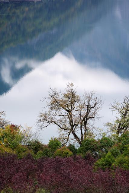 (261023) -- WENXIAN, Oct. 23, 2026 (Xinhua) -- This photo taken on Oct. 22, 2026 shows the autumn scenery of Tianchi lake national forest park in Wenxian County, northwest China's Gansu Province. In late autumn, Tianchi lake national forest park is adorned with richly colored foliage. (Xinhua/Fei Maohua)