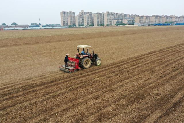 (261023) -- QINYANG, Oct. 23, 2026 (Xinhua) -- An aerial drone photo shows farmers sowing wheat in a field in Qinyang, central China's Henan Province, Oct. 23, 2026. (Photo by Yang Fan/Xinhua)