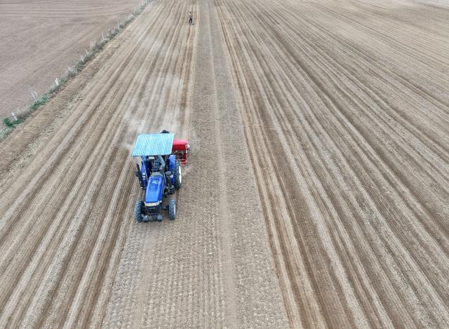 (261023) -- JIAOZUO, Oct. 23, 2026 (Xinhua) -- An aerial drone photo shows farmers sowing wheat in a field in Jiaozuo, central China's Henan Province, Oct. 23, 2026. (Photo by Xu Hongxing/Xinhua)