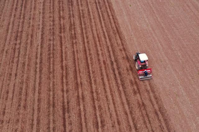 (261023) -- QINYANG, Oct. 23, 2026 (Xinhua) -- An aerial drone photo shows farmers sowing wheat in a field in Qinyang, central China's Henan Province, Oct. 23, 2026. (Photo by Yang Fan/Xinhua)