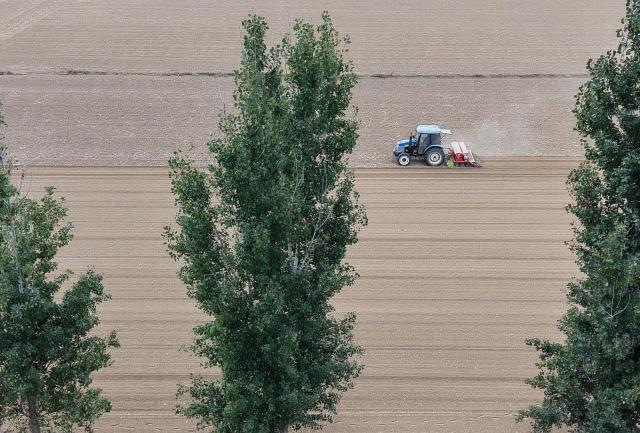 (261023) -- JIAOZUO, Oct. 23, 2026 (Xinhua) -- An aerial drone photo shows a farmer sowing wheat in a field in Jiaozuo, central China's Henan Province, Oct. 23, 2026. (Photo by Xu Hongxing/Xinhua)