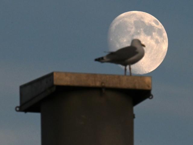 (261023) -- ROME, Oct. 23, 2026 (Xinhua) -- The moon is seen near Piazza Venezia in Rome, Italy, Oct. 23, 2026. (Photo by Alberto Lingria/Xinhua)