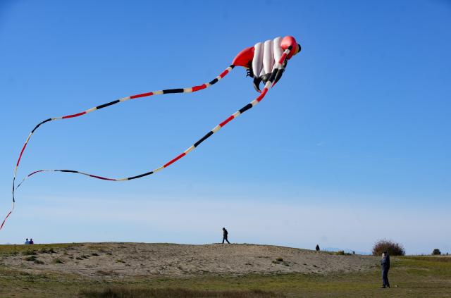 (261024) -- RICHMOND, Oct. 24, 2026 (Xinhua) -- A kite with long streamers flies over Garry Point Park in Richmond, British Columbia, Canada, on Oct. 23, 2026.
  Colorful kites soar across the autumn sky as kite enthusiasts take advantage of seasonal breeze to enjoy outdoor recreation. (Photo by Liang Sen/Xinhua)