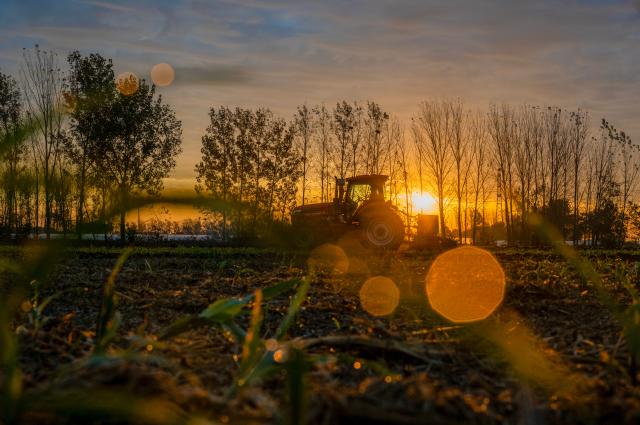 (261024) -- BEIJING, Oct. 24, 2026 (Xinhua) -- A farmer sows wheat in a field in Shangqiu, central China's Henan Province, Oct. 23, 2026. (Photo by Wang Gaochao/Xinhua)