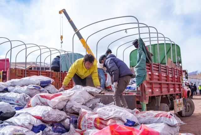 (261024) -- NAGQU, Oct. 24, 2026 (Xinhua) -- Staff members transfer coal for heating at a quake-hit village in Maru Township of Baqen County, Nagqu City, southwest China's Xizang Autonomous Region, Oct. 24, 2026. As of 11 a.m. Saturday, 52,450 items or sets of disaster relief supplies had been sent to the quake zone, while more than 2,500 rescue personnel were engaged in relief operations.
   Authorities have established 35 temporary resettlement sites in the disaster zone. Medical treatment and public health and epidemic prevention efforts are proceeding in an orderly manner, according to the local emergency command headquarters. (Xinhua/Tenzin Nyida)