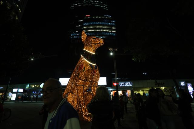 (261024) -- MEXICO CITY, Oct. 24, 2026 (Xinhua) -- People view a light art installation in the shape of a Mexican hairless dog along Paseo de la Reforma in Mexico City, capital of Mexico, Oct. 23, 2026. As the Day of the Dead approaches, giant light sculptures along Paseo de la Reforma in Mexico City, capital of Mexico, are illuminated. (Photo by Francisco Canedo/Xinhua)