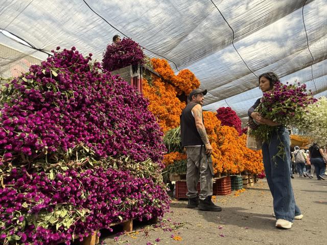 (261024) -- MEXICO CITY, Oct. 24, 2026 (Xinhua) -- This photo taken with a mobile phone shows people buying flowers ahead of the traditional Day of the Dead celebrations at a market in Mexico City, Mexico, Oct. 24, 2026. (Xinhua/Wu Wei)