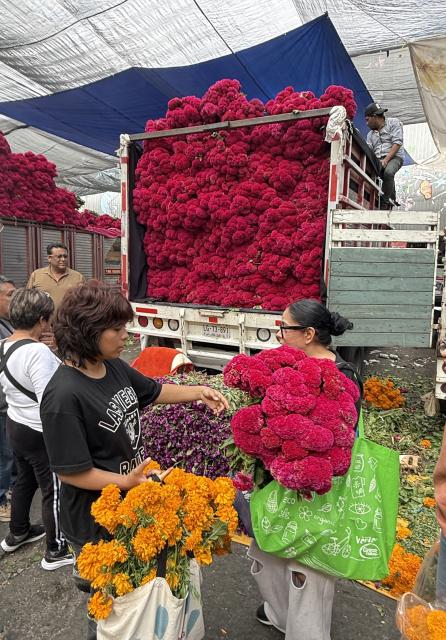 (261024) -- MEXICO CITY, Oct. 24, 2026 (Xinhua) -- This photo taken with a mobile phone shows people buying flowers ahead of the traditional Day of the Dead celebrations at a market in Mexico City, Mexico, Oct. 24, 2026. (Xinhua/Wu Wei)