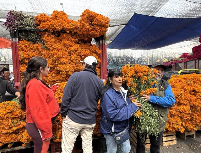 (261024) -- MEXICO CITY, Oct. 24, 2026 (Xinhua) -- This photo taken with a mobile phone shows people buying flowers ahead of the traditional Day of the Dead celebrations at a market in Mexico City, Mexico, Oct. 24, 2026. (Xinhua/Wu Wei)