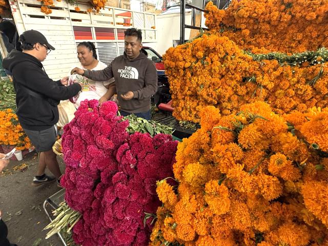 (261024) -- MEXICO CITY, Oct. 24, 2026 (Xinhua) -- This photo taken with a mobile phone shows vendors selling flowers ahead of the traditional Day of the Dead celebrations at a market in Mexico City, Mexico, Oct. 24, 2026. (Xinhua/Wu Wei)