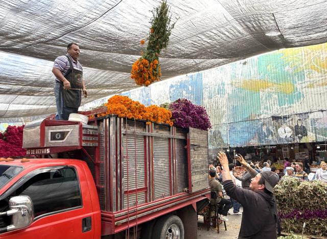 (261024) -- MEXICO CITY, Oct. 24, 2026 (Xinhua) -- This photo taken with a mobile phone shows vendors unloading flowers from a truck ahead of the traditional Day of the Dead celebrations at a market in Mexico City, Mexico, Oct. 24, 2026. (Xinhua/Wu Wei)